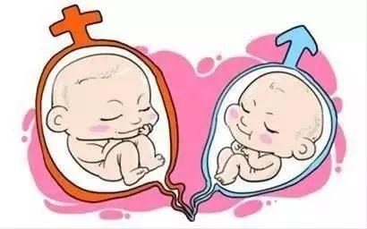 陈若晴 副院长